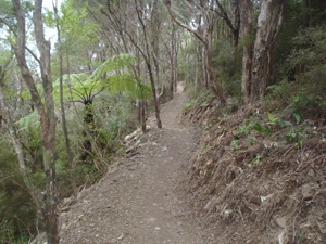 Sidewinder Trail