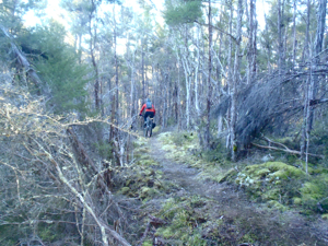 Sidewinder Trail