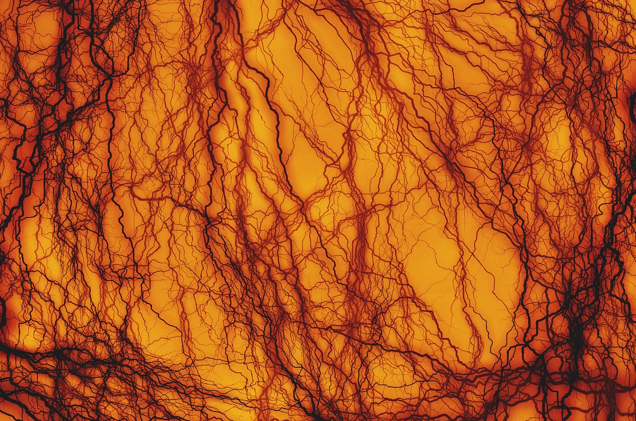 Living blood vessels