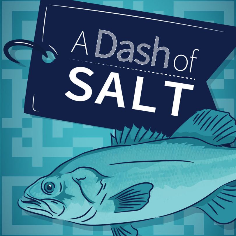 dash of SALT