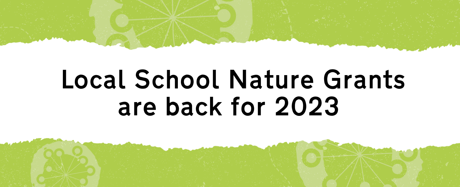 Discover how to write a winning application for our Local School Nature Grants programme.