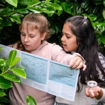 Explore our tips for using our Natural Nations surveys to boost biodiversity in your school grounds.