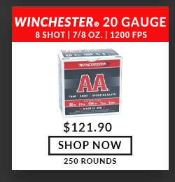 Winchester - AA - 20 Gauge - #8 Shot - 2-3/4'' - 7/8 oz. - 1200 FPS - 250 Rounds